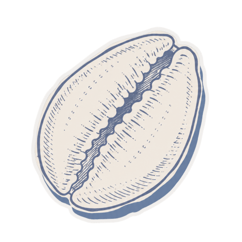 A drawing of a single pistachio nut in its shell.