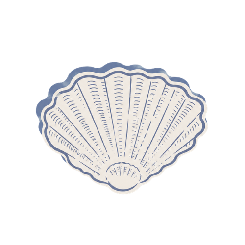 Blue and white seashell illustration with detailed line work
