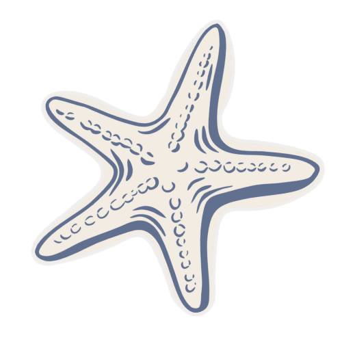 Illustration of a starfish with five arms and textured surface.