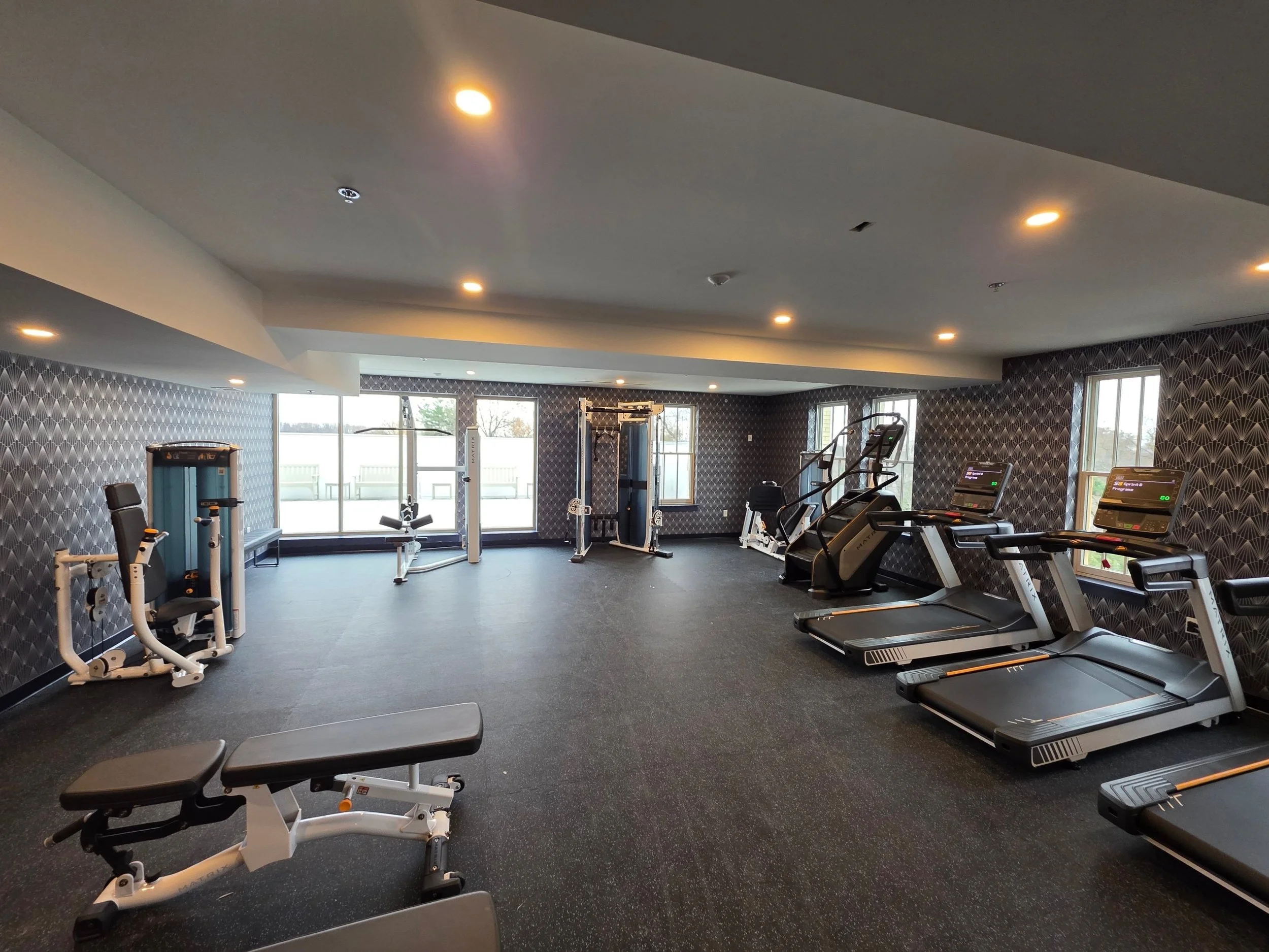State of the art gym room with various exercise equipment, including treadmills, ellipticals, weight machines, and a bench, with large windows and patterned wallpaper.