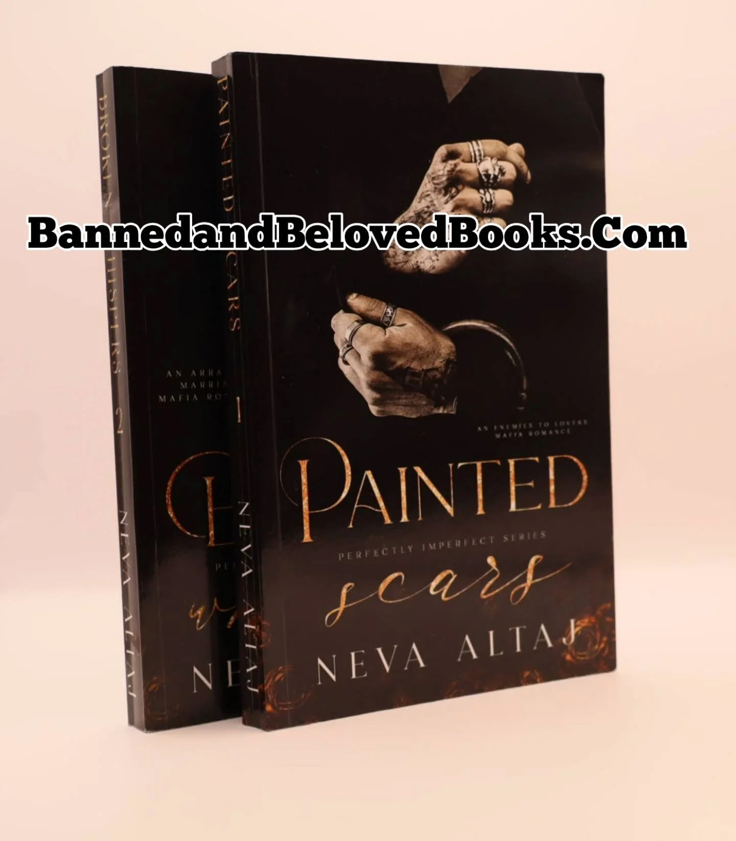 BannedandBelovedBooks.Com 📚❤️🖤
#bannedandbeloved #bookstore #nevaaltaj #books #bookgirlie