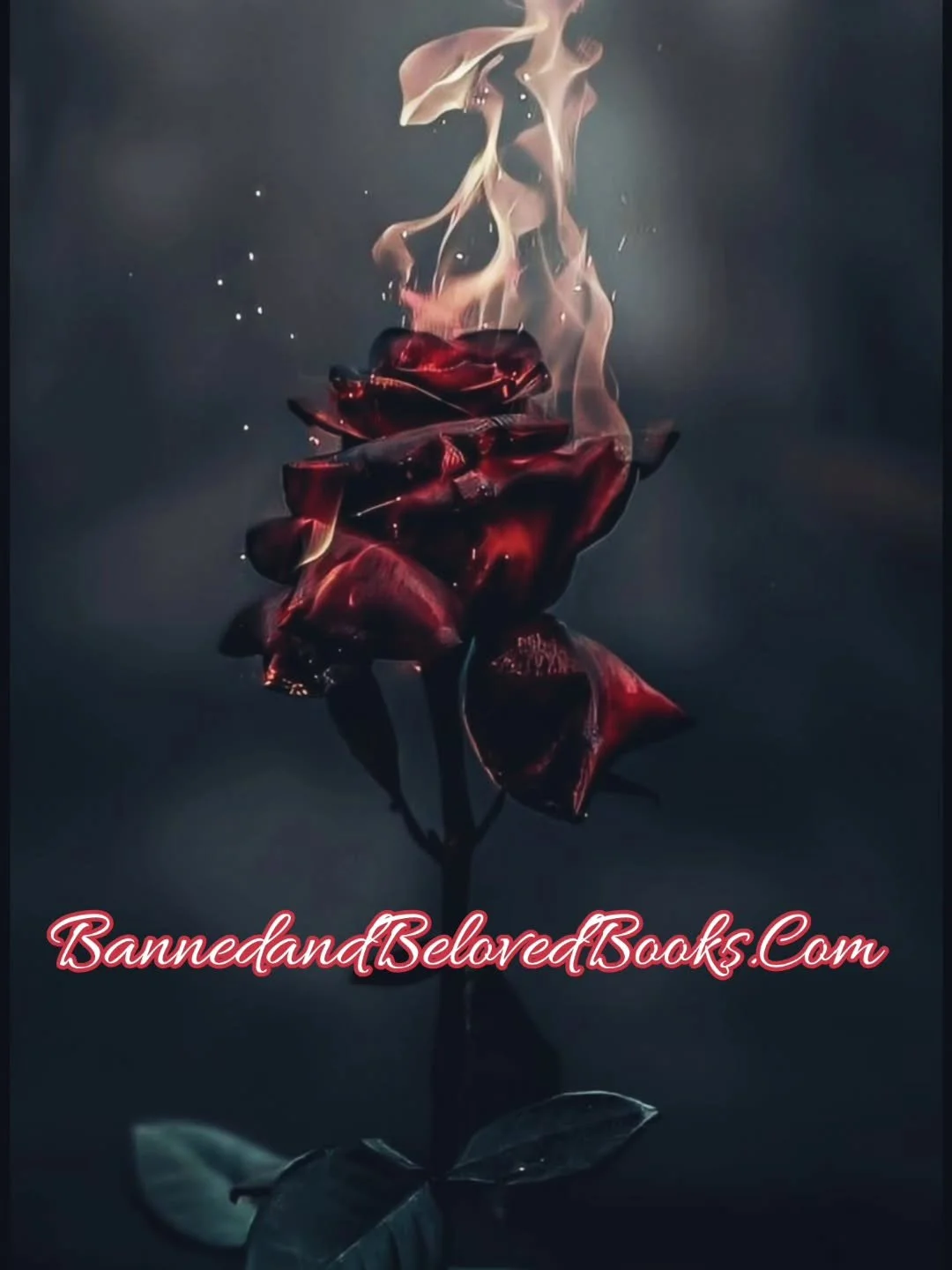 BannedandBelovedBooks.Com
Keep it spicy! 📚😍😀

#darkromance #romance #SpicyReads #bannedandbeloved #Bookstagram
