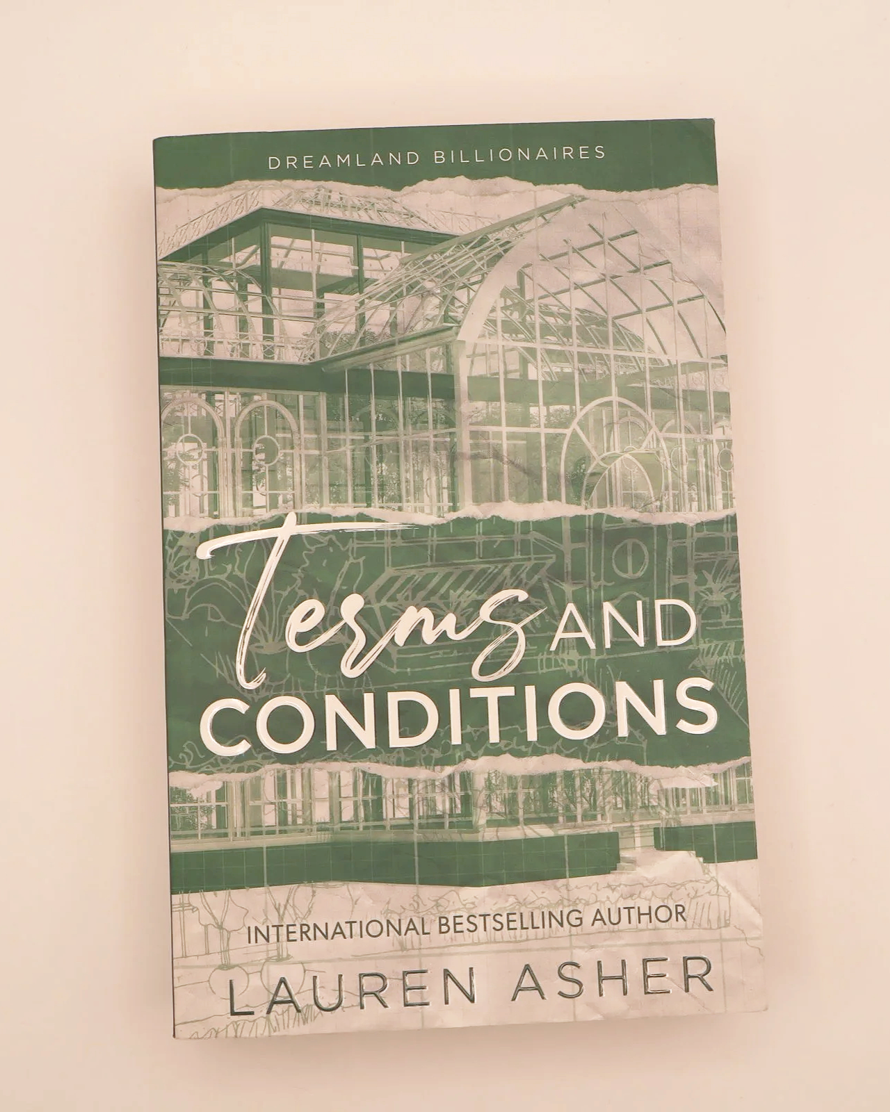 Terms and Conditions by Lauren Asher