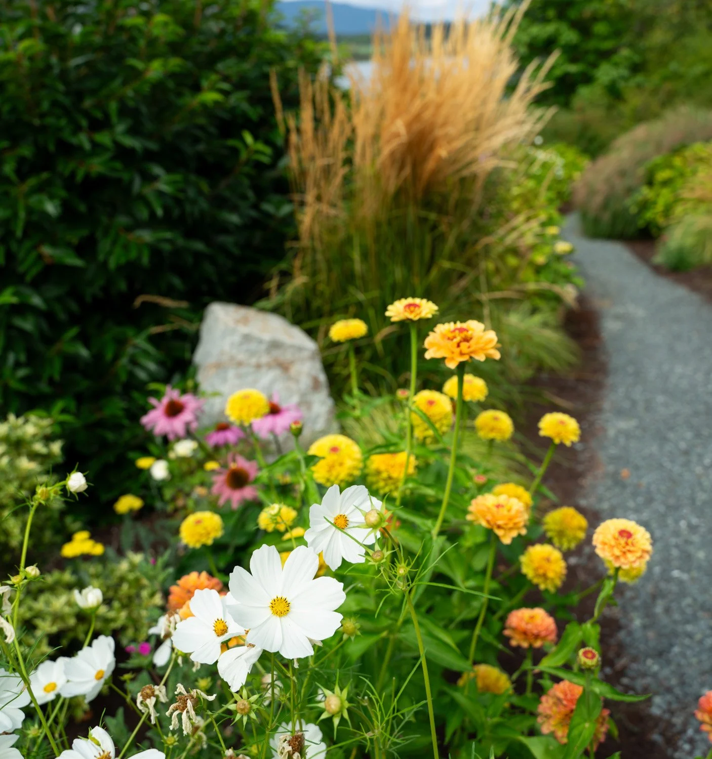 Colourful flowers border a pathway in a Vancouver Island garden