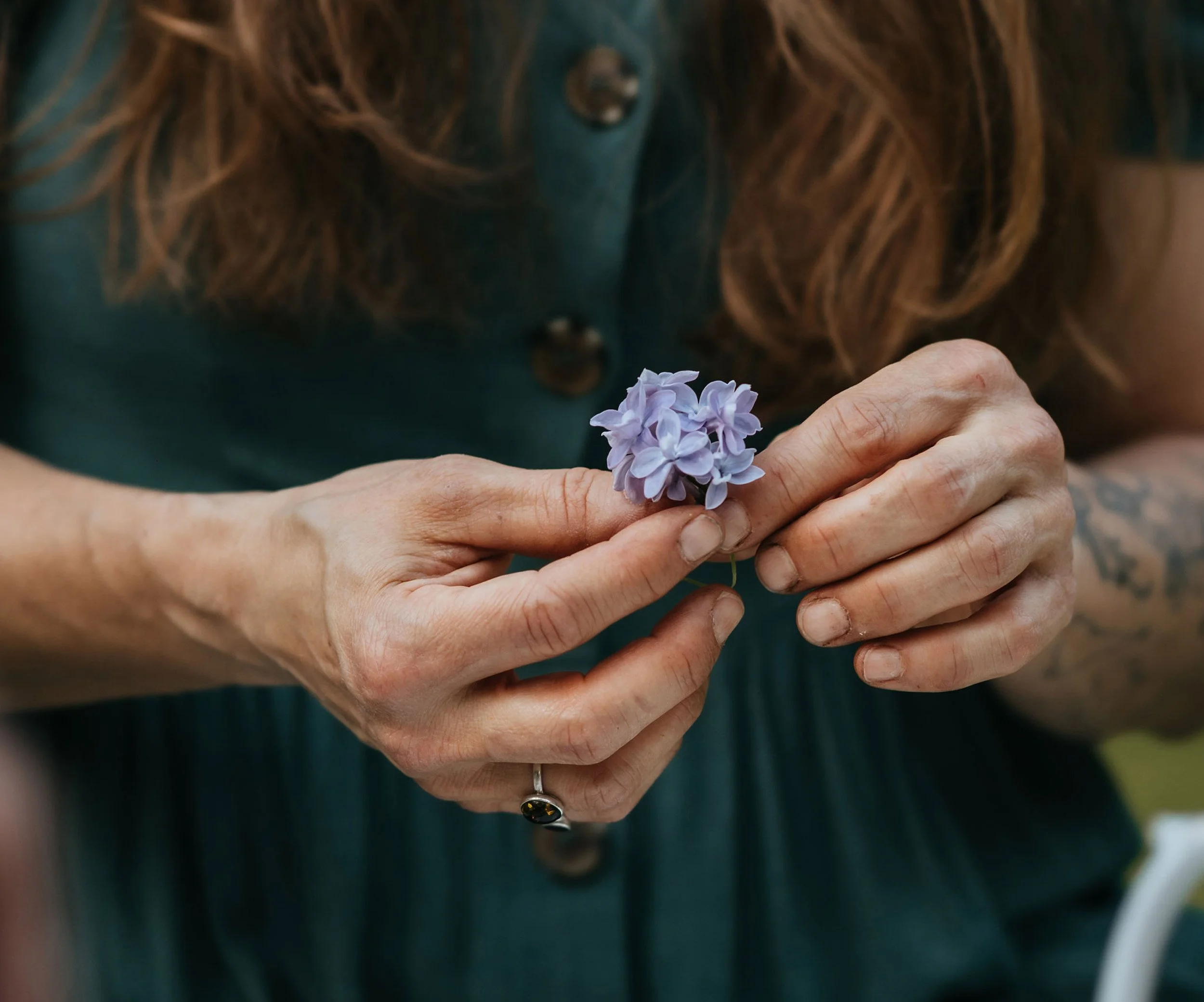 garden-consultant-hands-holding-lilac-sprig.jpg