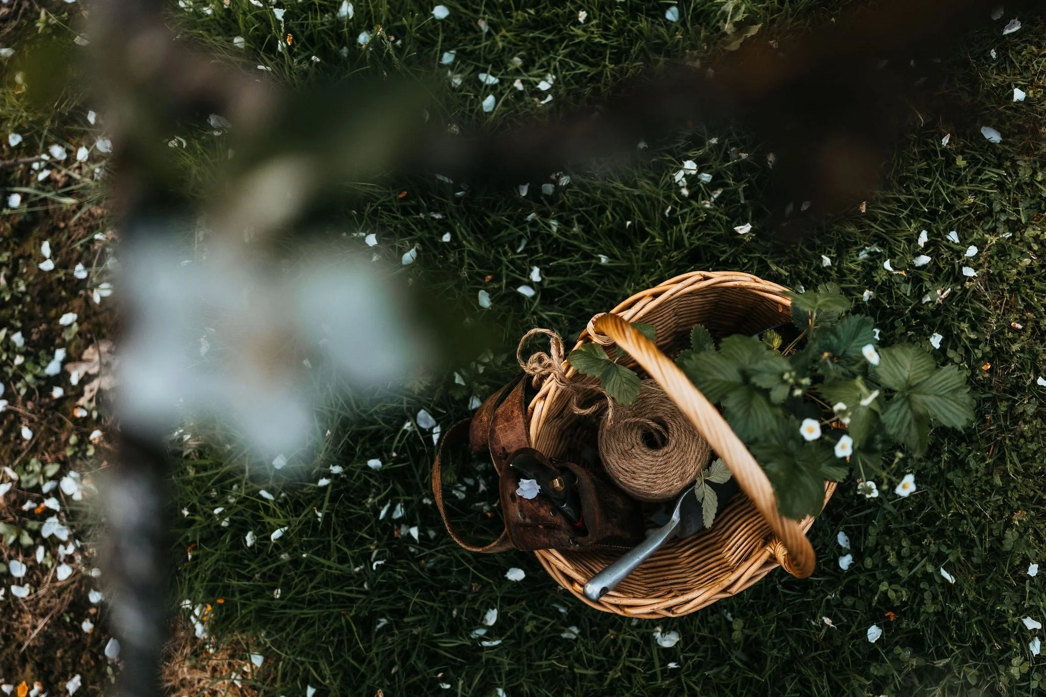 wicker-basket-garden-tools-twine-wildflowers.jpg
