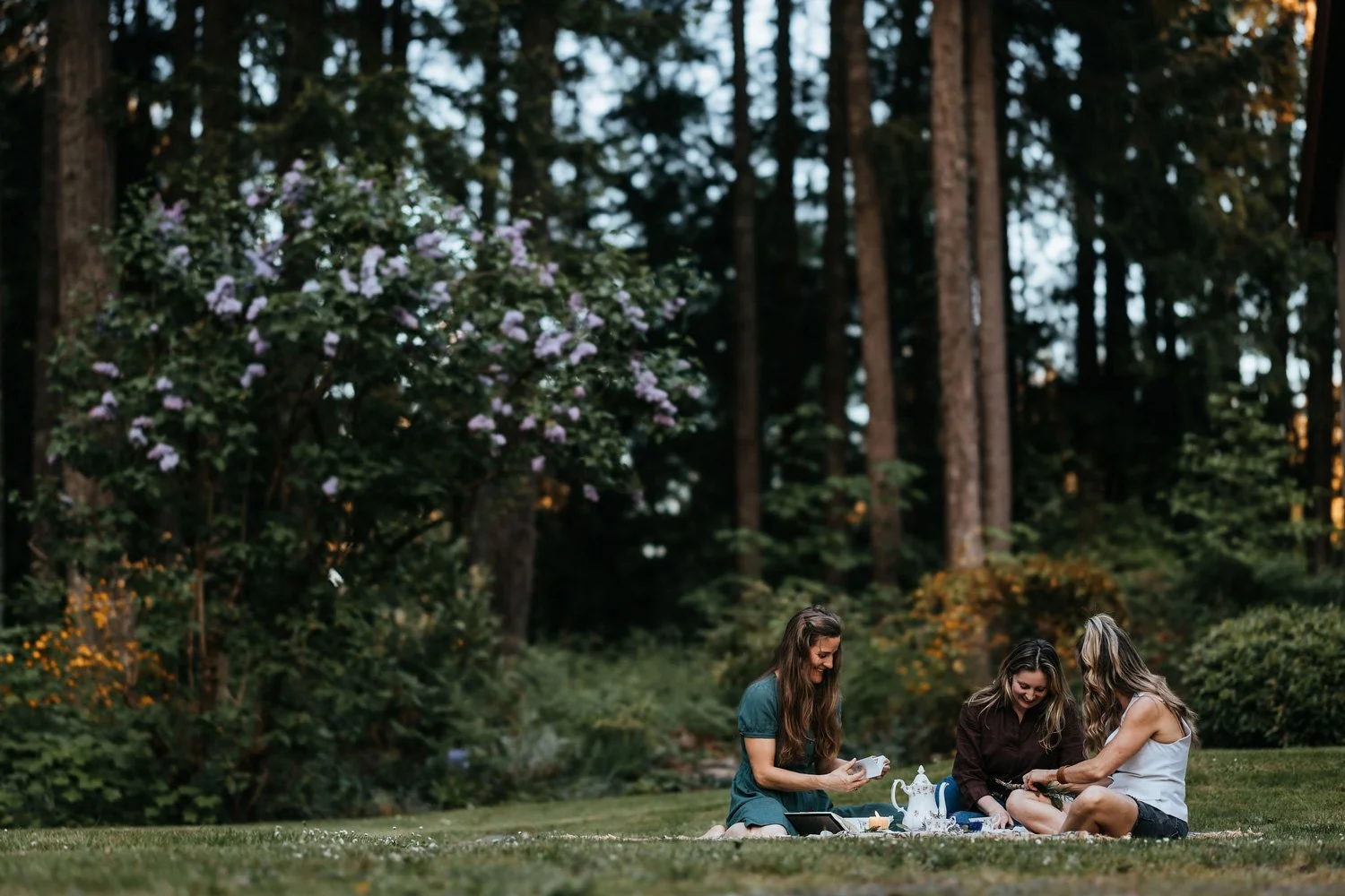 Three women sharing tea on a garden lawn surrounded by blooming lilac and tall Douglas firs at golden hour on Vancouver Island