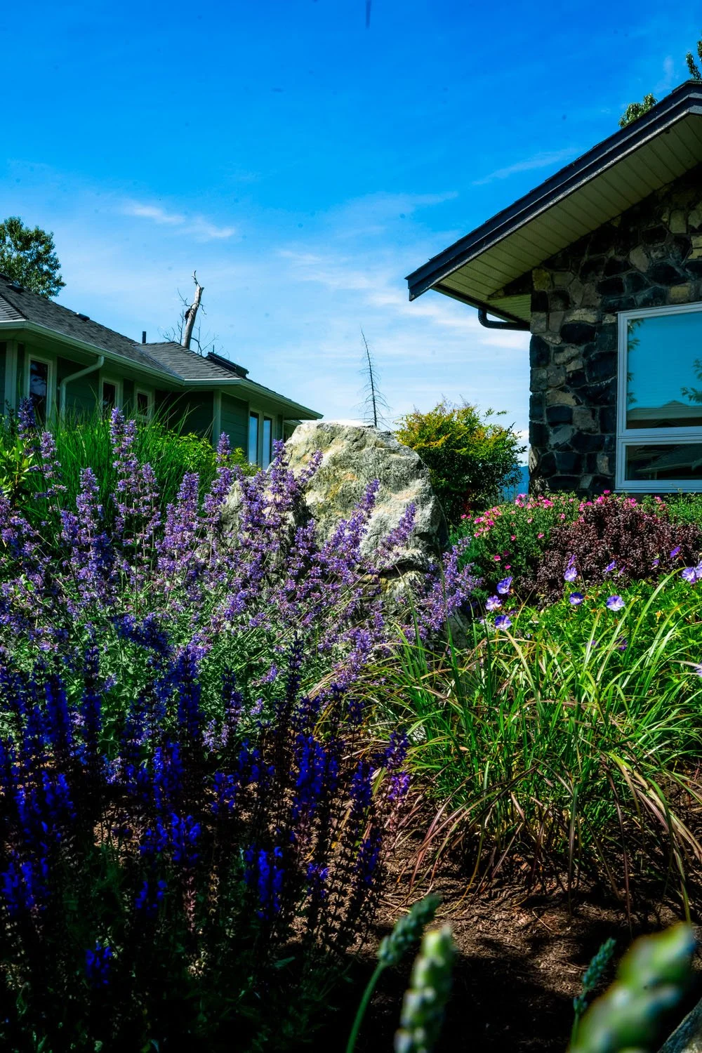 From Lawn to Flowers