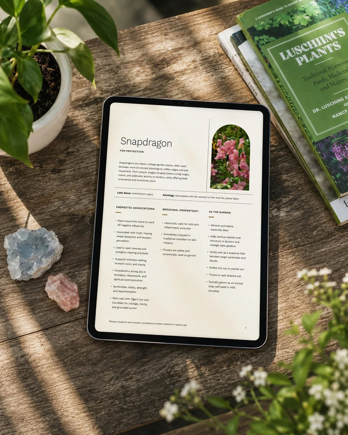 Mockup of the Plant Pairing Guide on a tablet, surrounded by crystals and plants on a wooden table