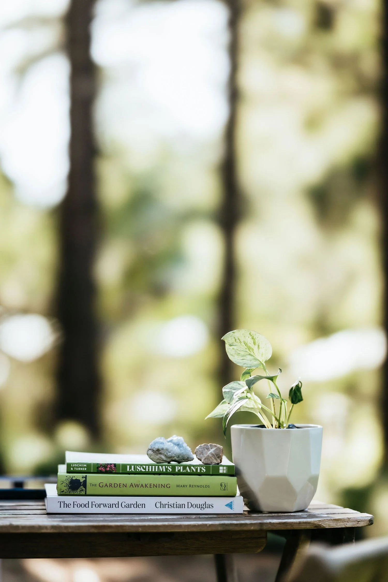 Stack of horticulture books including The Garden Awakening alongside crystals and a pothos plant on an outdoor table