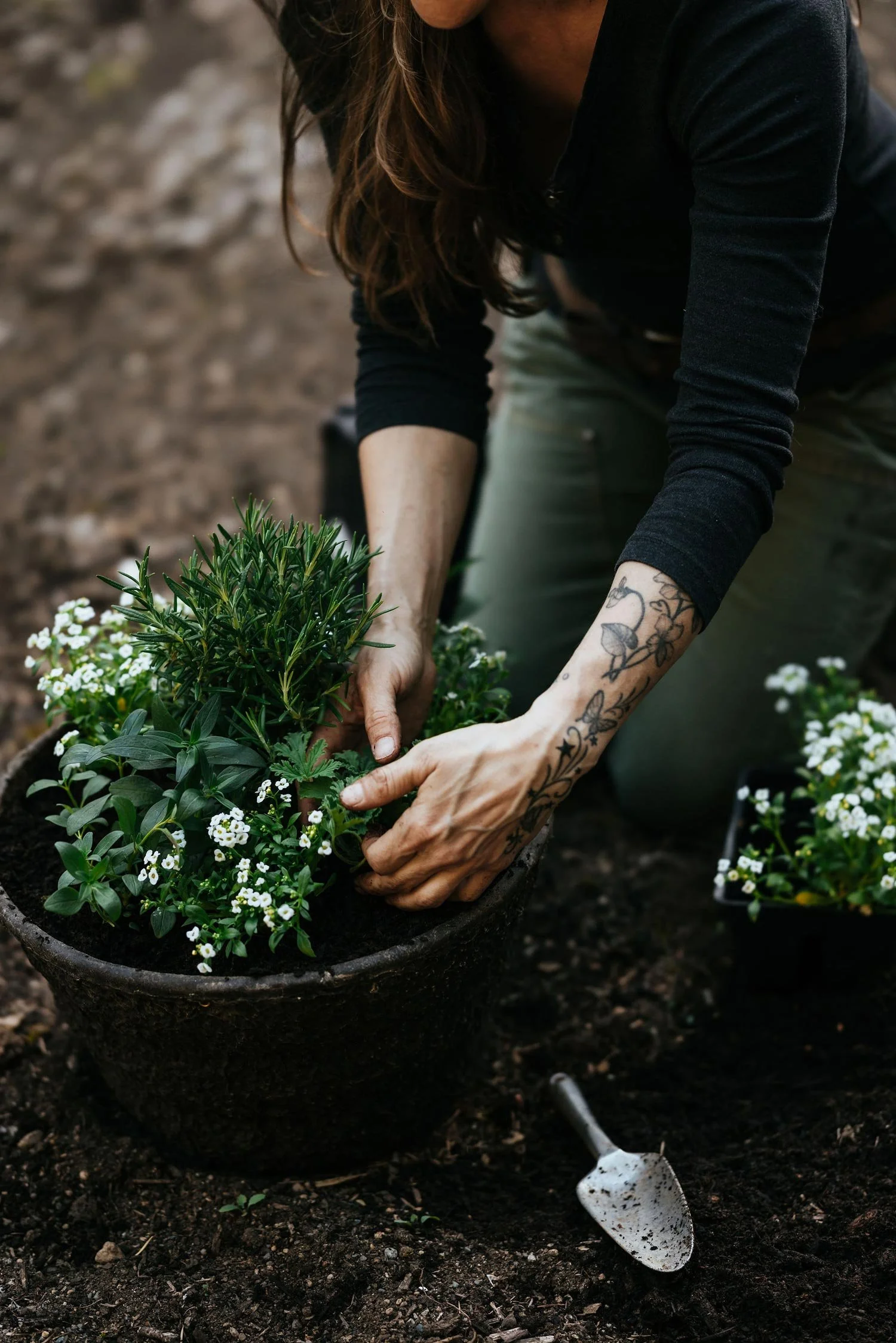 Alex planting rosemary and sweet alyssum in a large container during a hands-on planter workshop on Vancouver Island