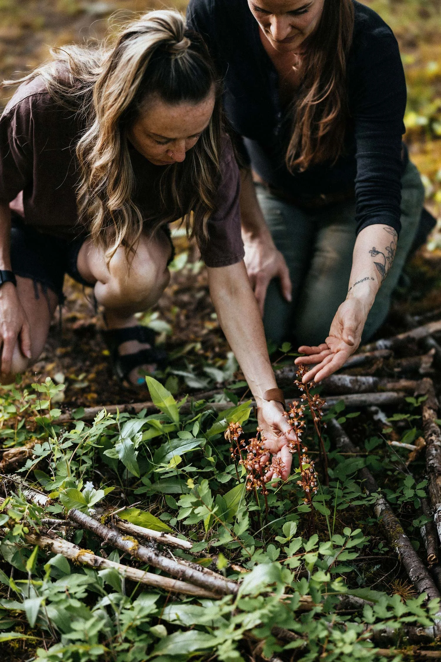 Alex and a client crouching together to examine native woodland plants during a hands-on garden coaching session