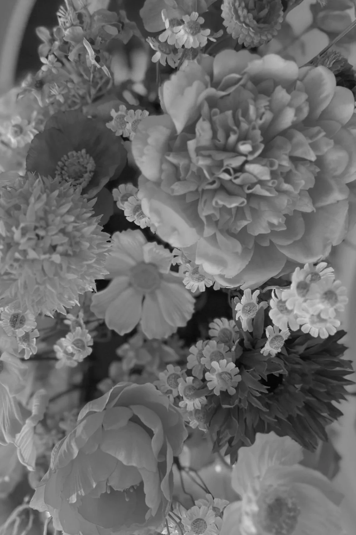 Engagement floral installation detail with white blooms Gold Coast