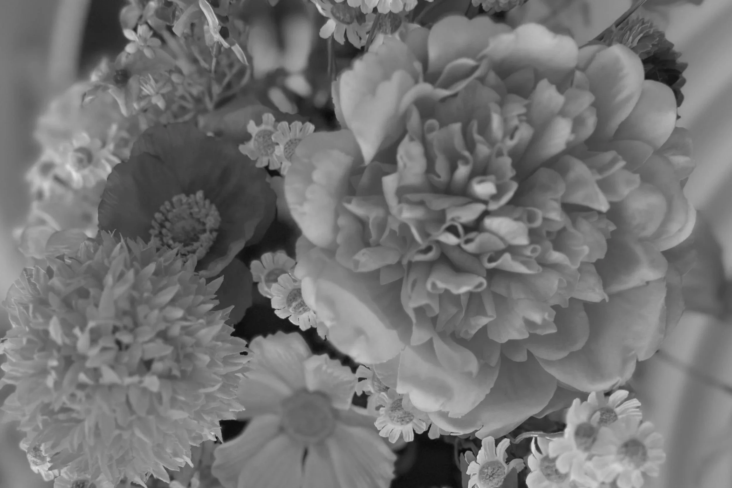 Black and white wedding floral detail showcasing the refined event styling process in Gold Coast by Saudade Events.