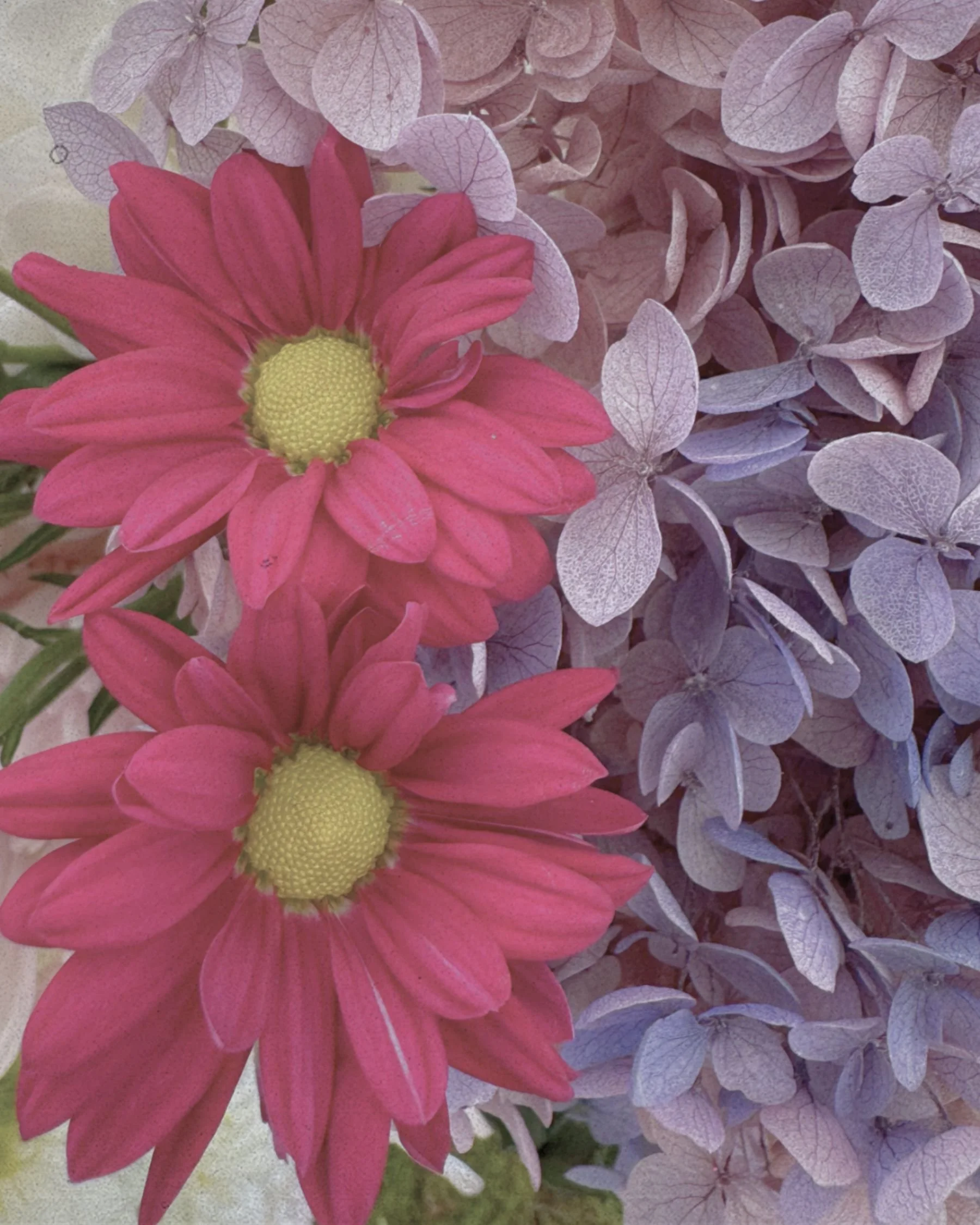 Colourful floral arrangement detail featuring pink daisies and soft hydrangeas styled by Saudade Events in Gold Coast.