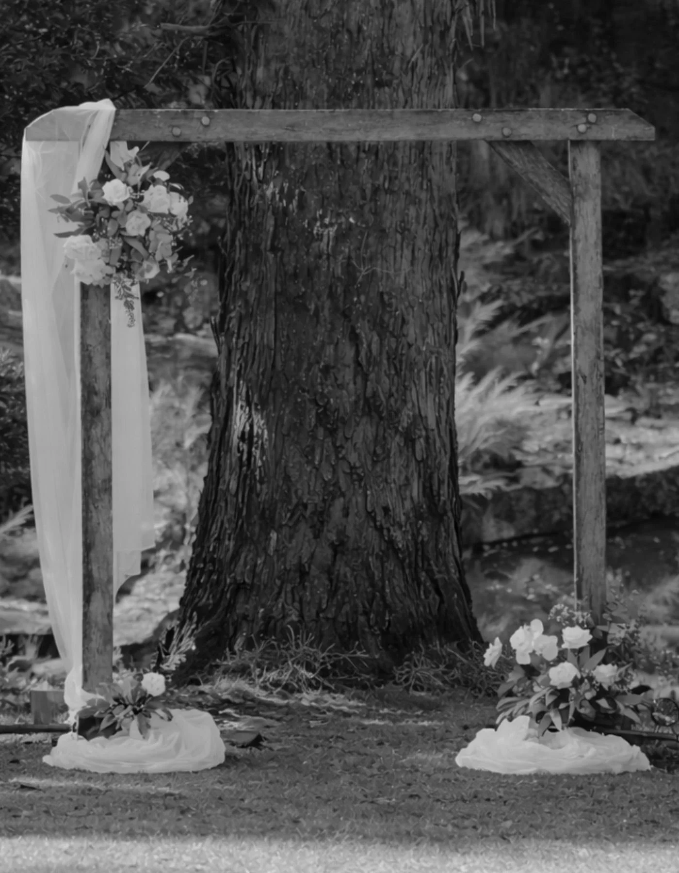 Outdoor Gold Coast wedding ceremony styling with timber frame and florals by Saudade Events.