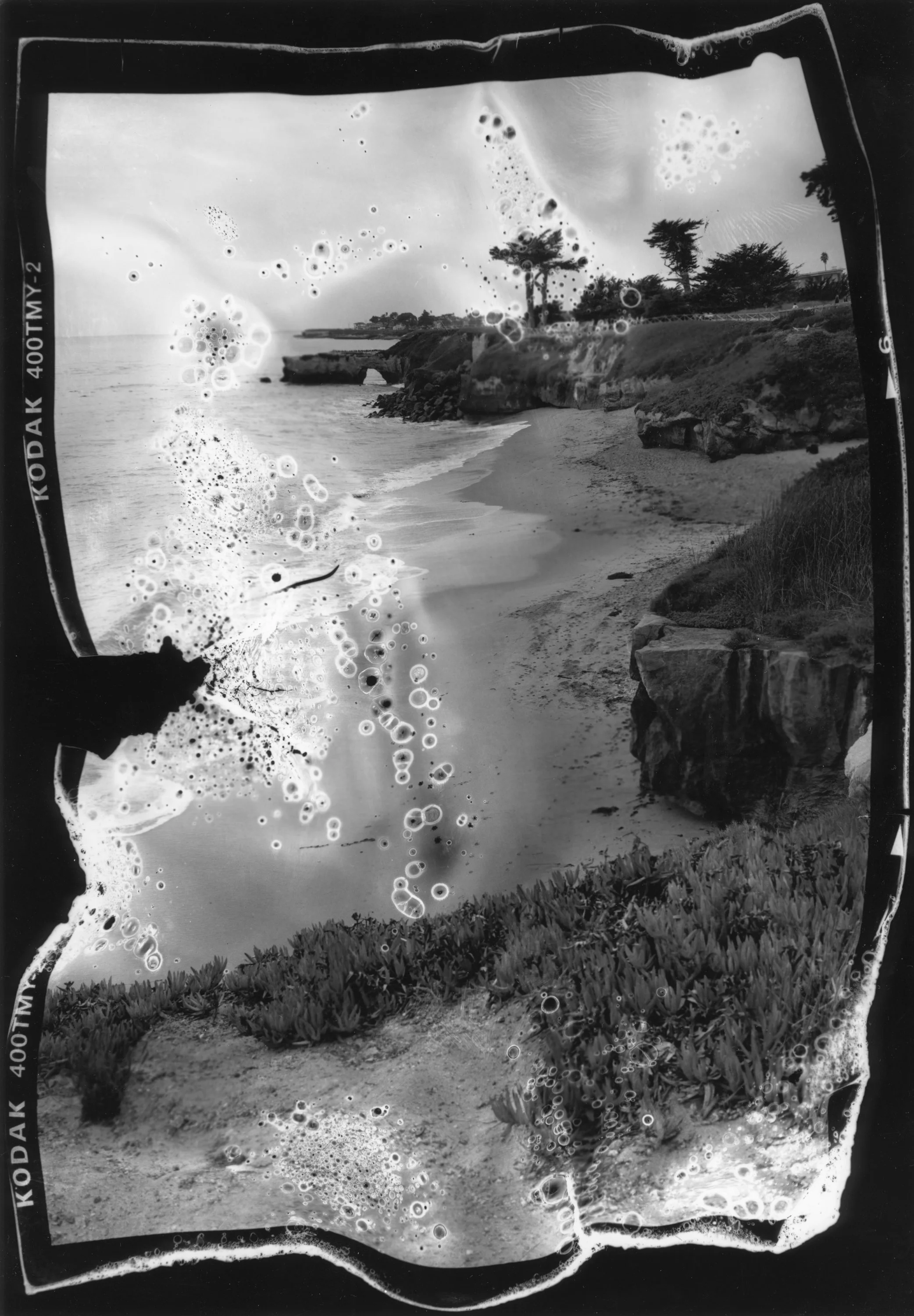 Lighthouse Field State Beach, Santa Cruz, CA