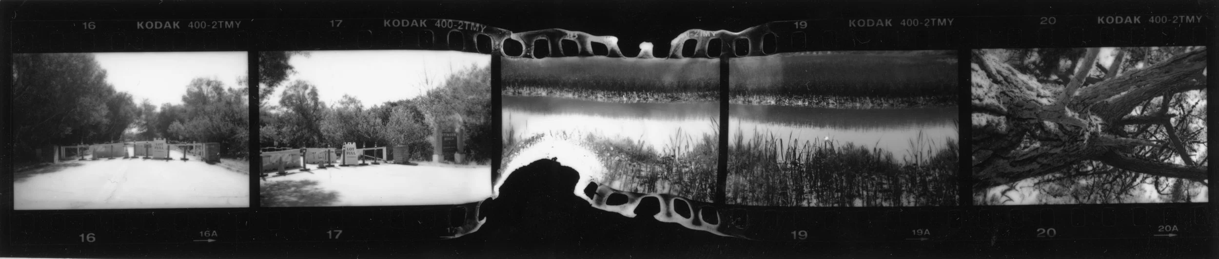 Stinson Beach, CA II