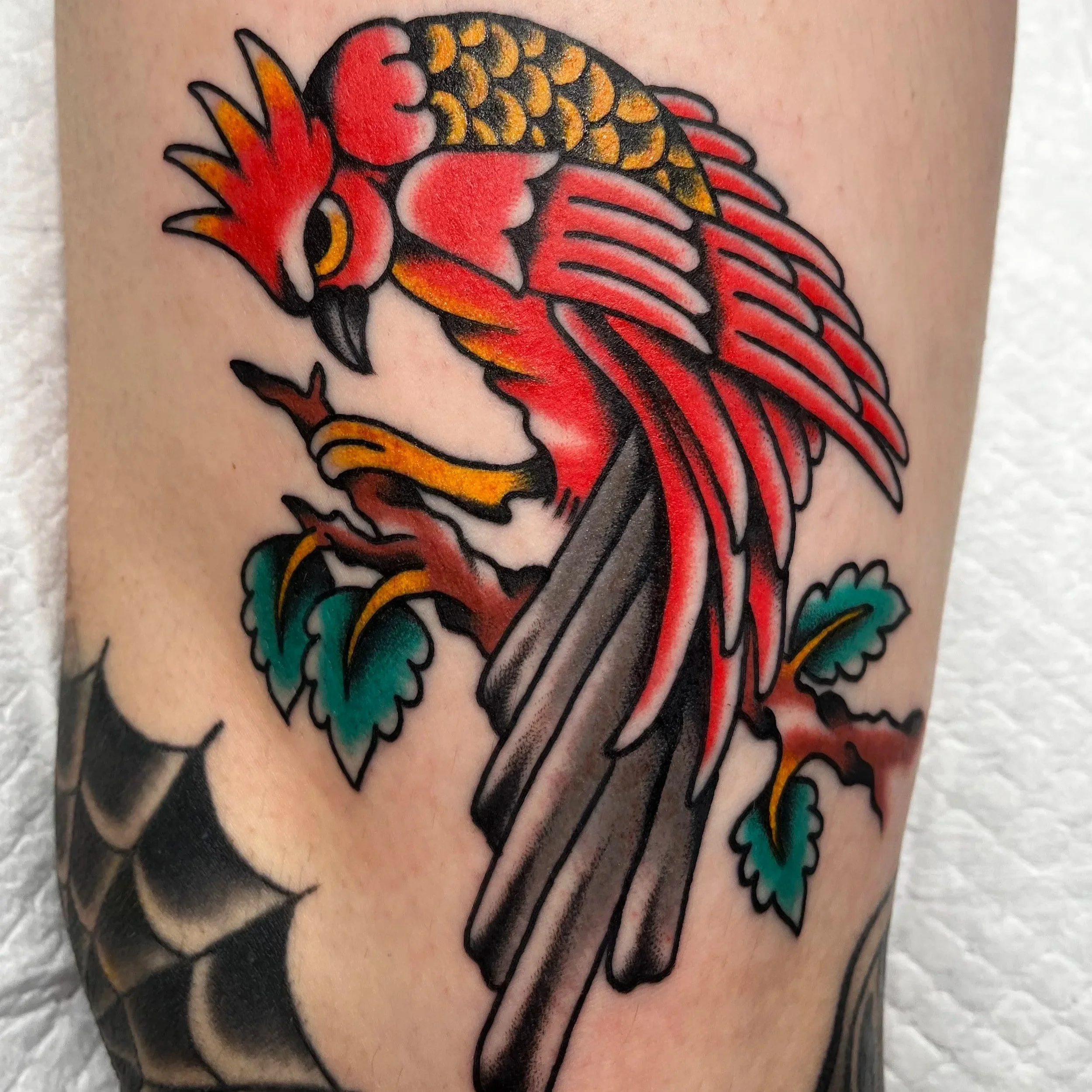 Colorful tattoo of a cardinal bird perched on a branch with green leaves.