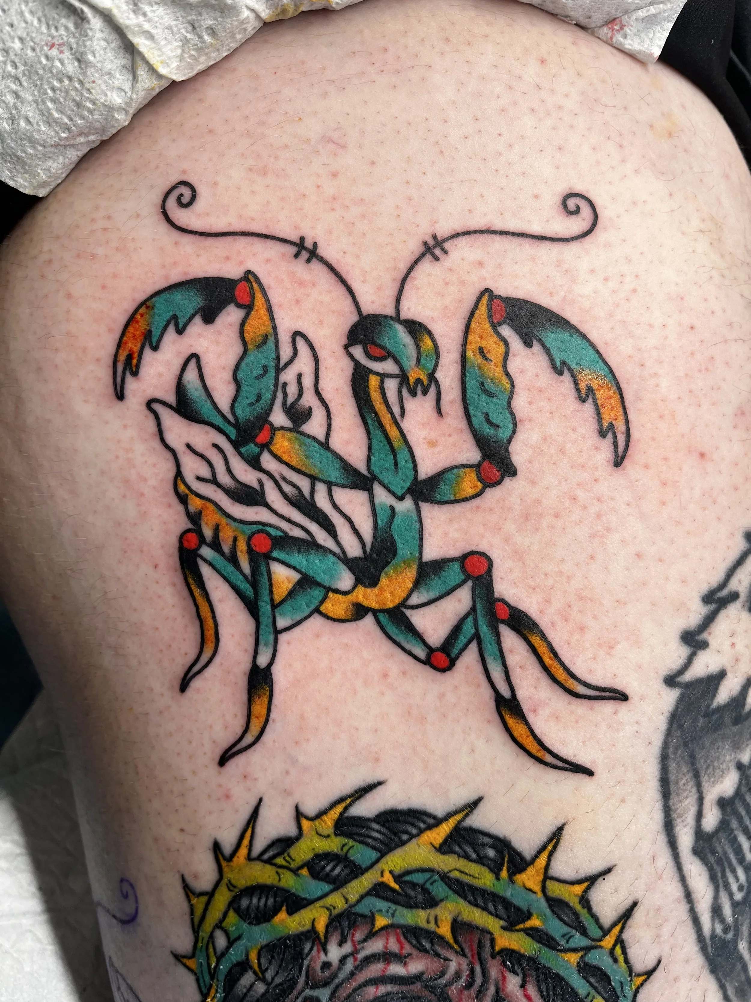Colorful tattoo of a stylized scorpion with wings, on a person's skin.
