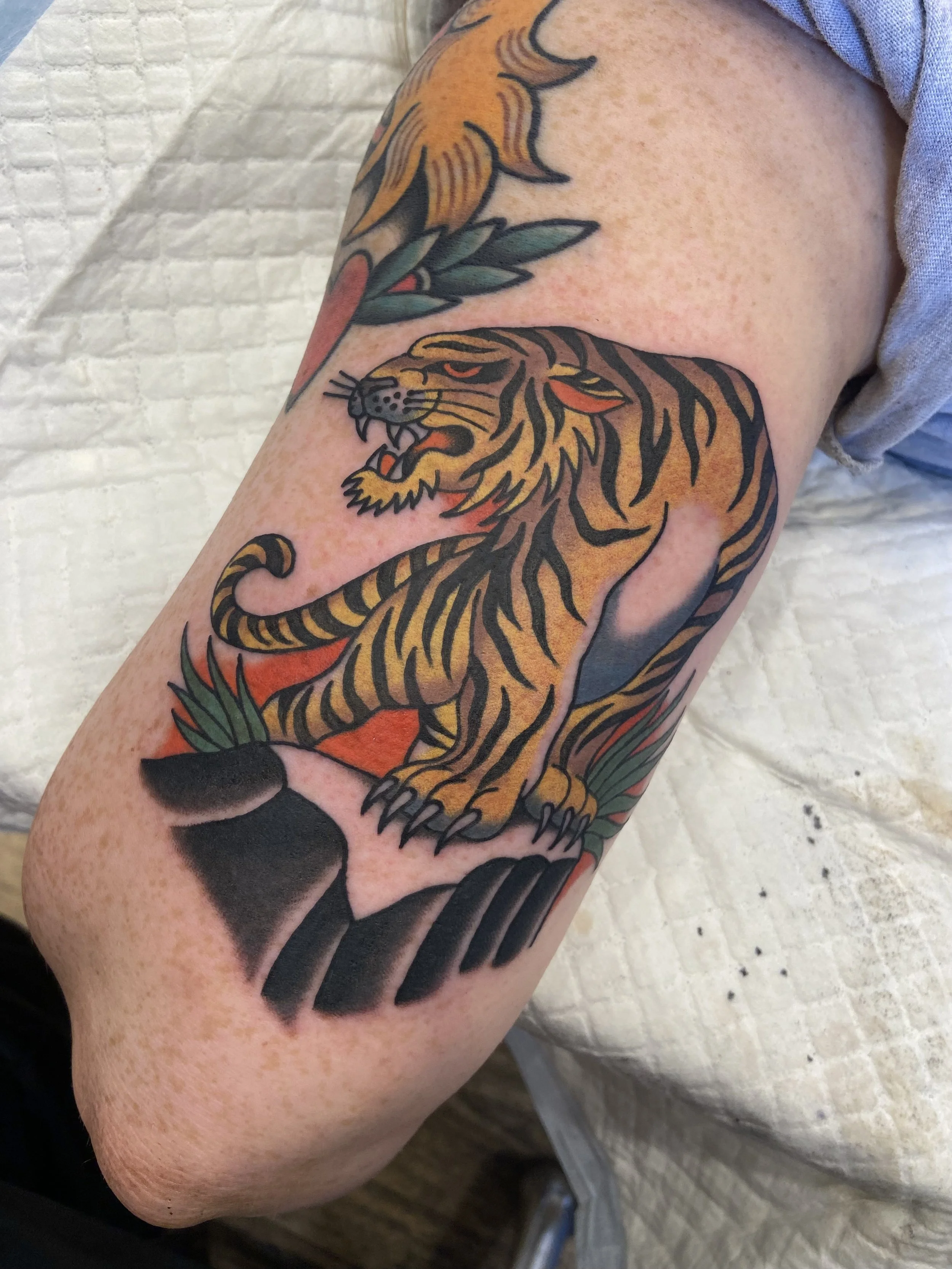 Tattoo of a fierce tiger with black and orange stripes, snarling, with green leaves and an orange background on a person's upper arm.