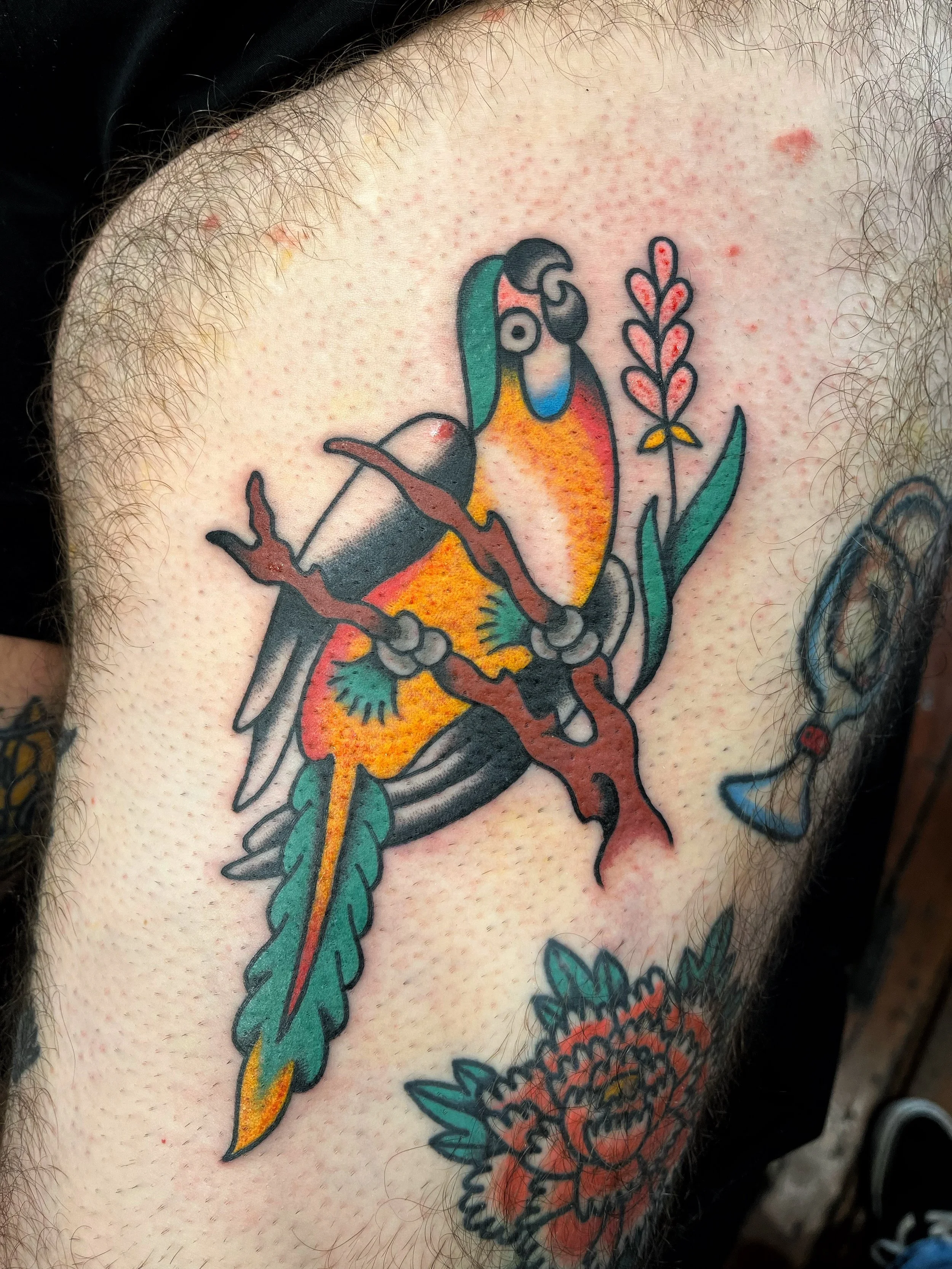 Tattoo of a colorful parrot sitting on a branch with leaves and a flower on a skin arm.