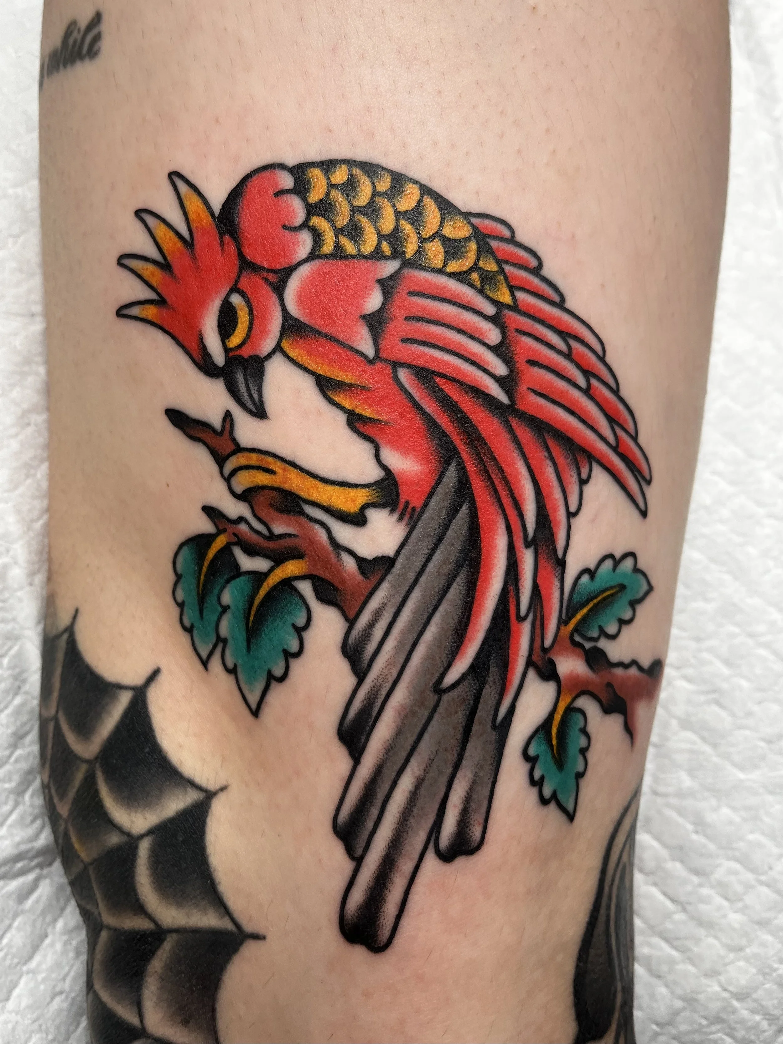 Traditional style tattoo of a red and yellow bird perched on a branch with green leaves.