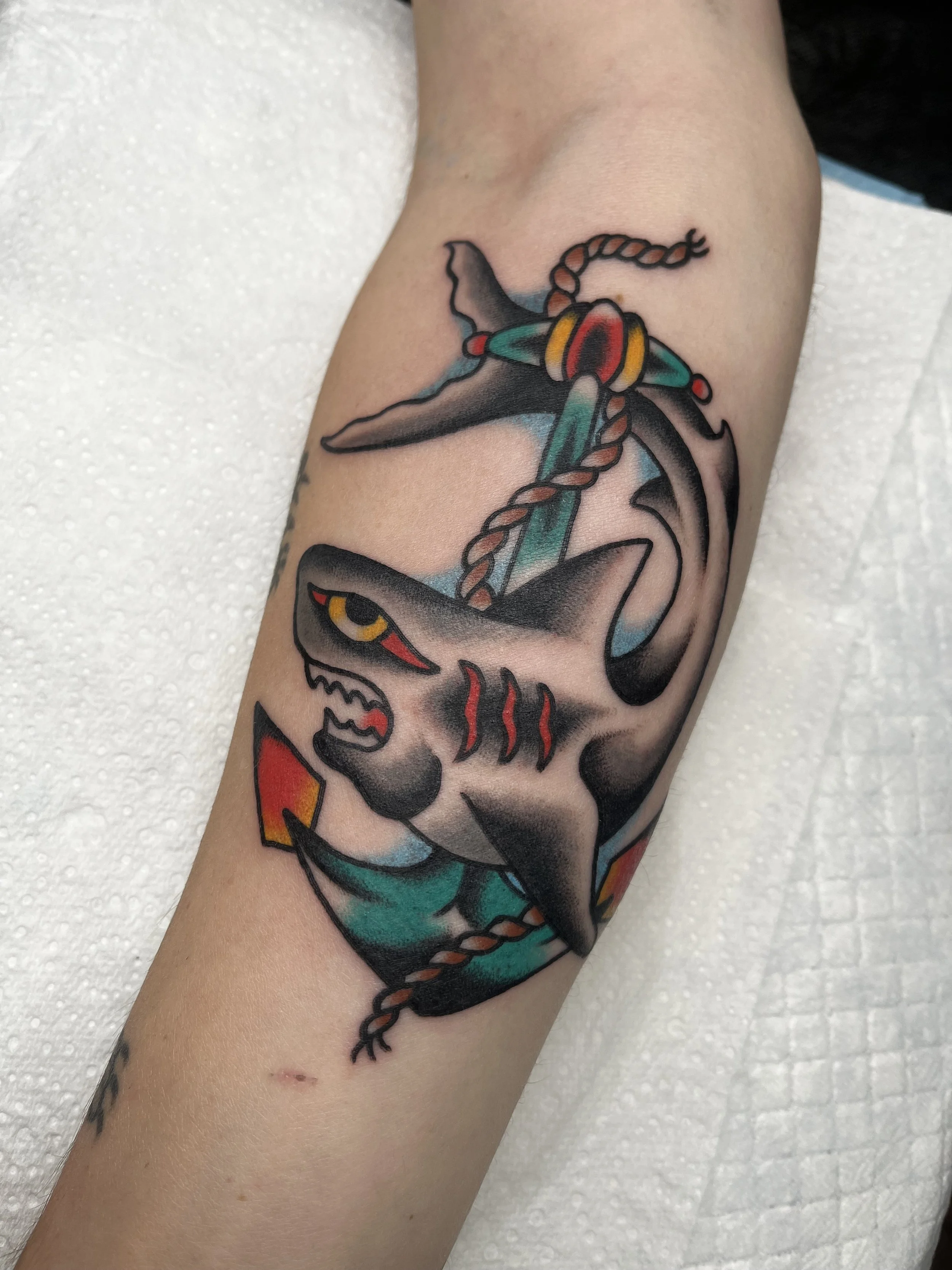 Traditional style tattoo of a shark with an anchor intertwined with a rope, featuring vibrant colors and bold lines.