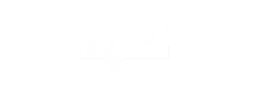 The Providence Eagle