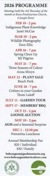 Screenshot 2026-01-21 122312.jpg