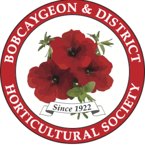 BDHS-Red-Petunia-crest-1-298x300-circle-0a92d819aebb0c9b30d135d4490e46a1-63eiuys5nbmz.png