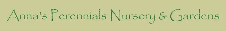 Anna's Perennials Nursery and Gardens