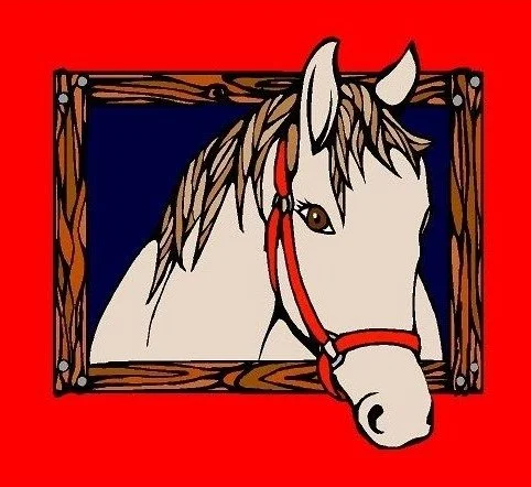 Therapeutic Horsemanship &amp; Riding In Lindsay