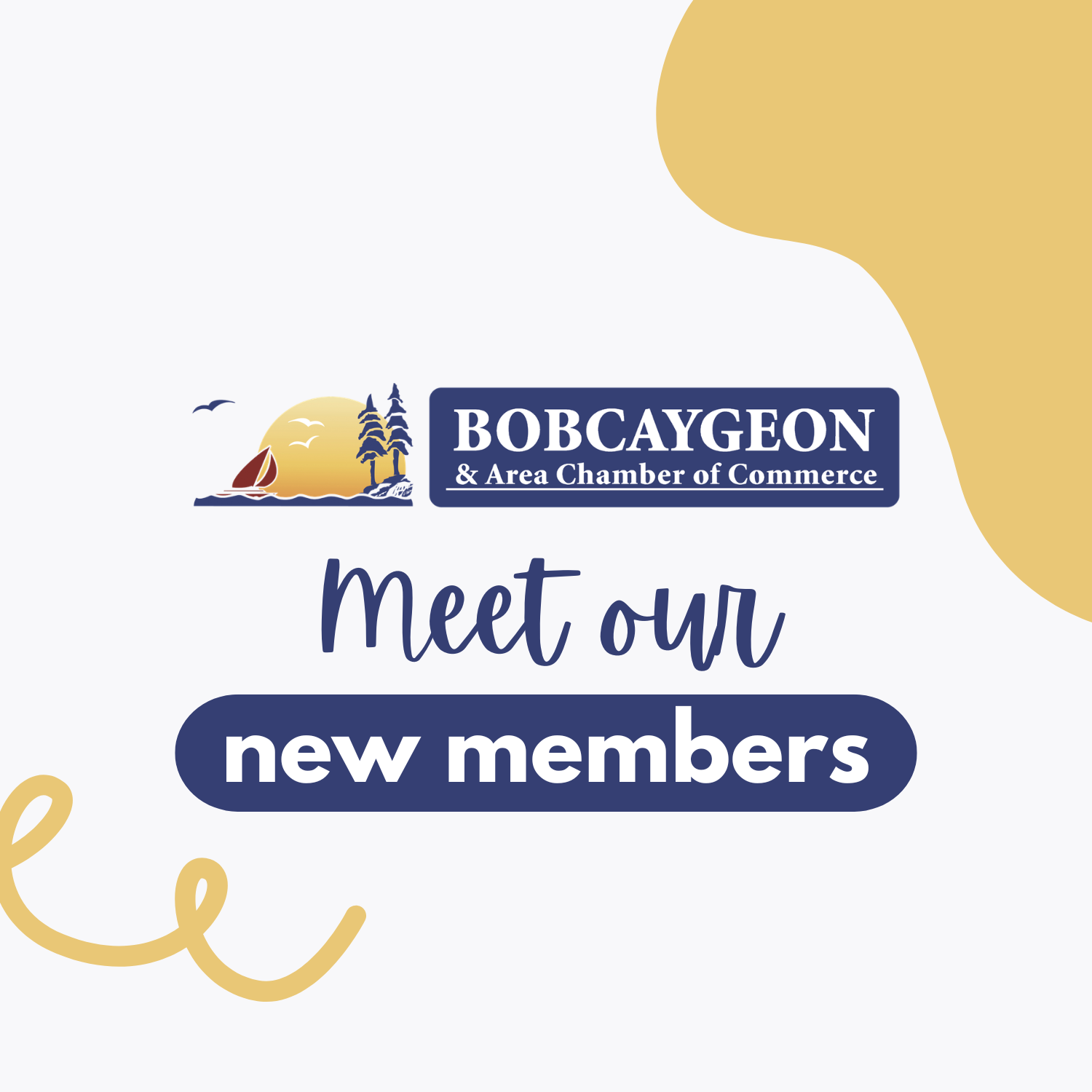 Welcome to Our Newest Chamber Members! 