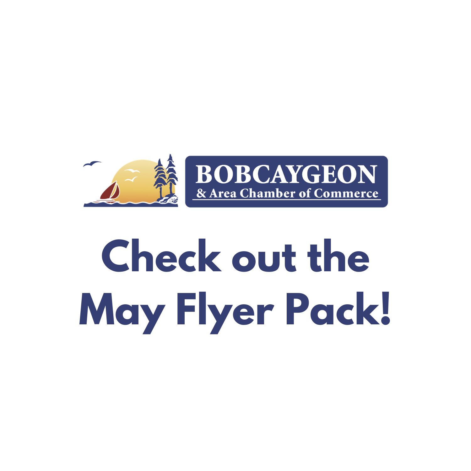 Check out our Flyer Pack to see what your local Chamber Members are up to!