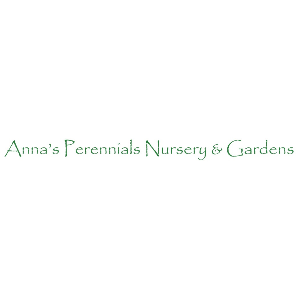 Anna's Perennials Nursery and Gardens