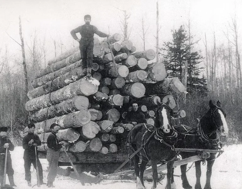 Haliburton brag load 1880s PAC Boyd File.jpg.jpg