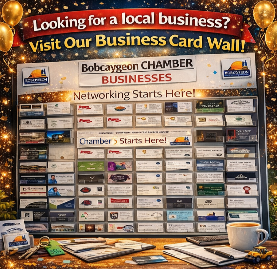 Business card display board for Bobcaygeon Chamber of Commerce with a banner reading 'Looking for a local business? Visit Our Business Card Wall!' and encouraging networking with the phrase 'Networking Starts Here!' A table in front holds various business cards, a cup of coffee, a pen, and a small yellow toy truck, surrounded by festive decorations and gold balloons.