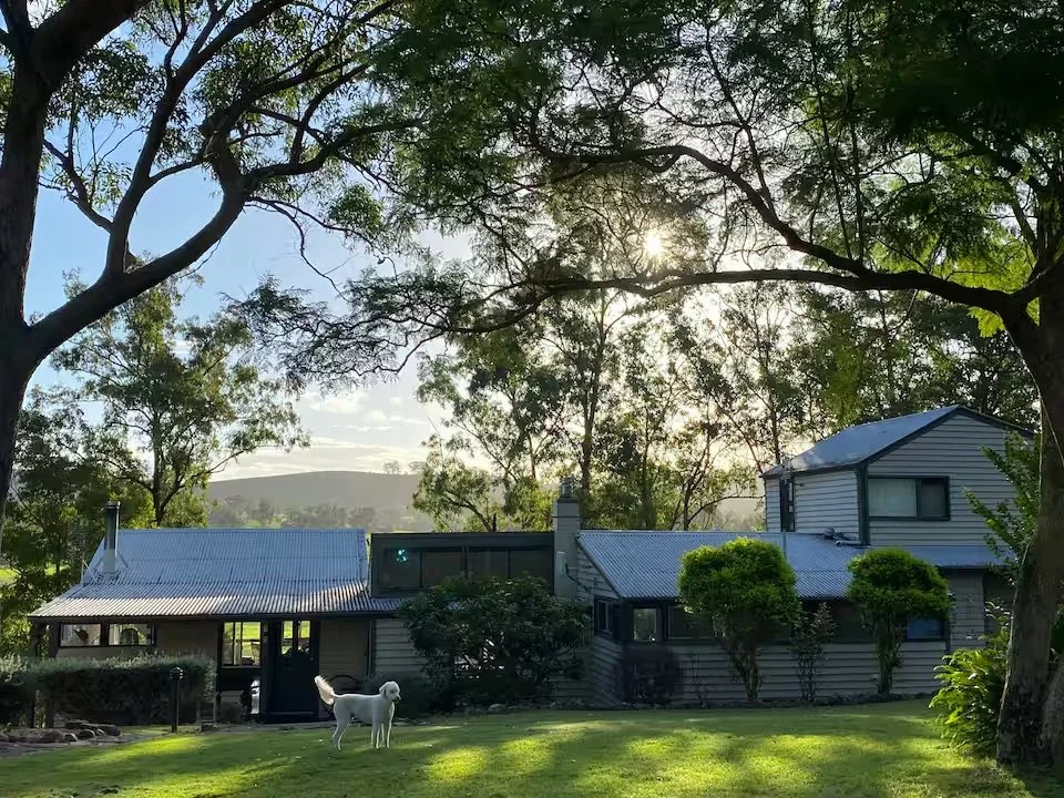 A house in a lush green yard with trees, a white dog, and sunlight streaming through the branches.