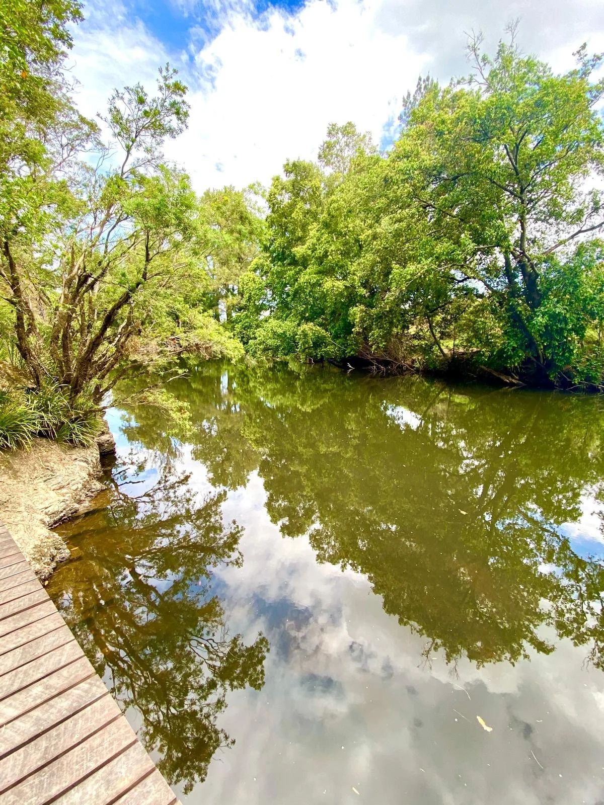 WhatsApp Image 2026-01-09 at 11.44.44.jpeg