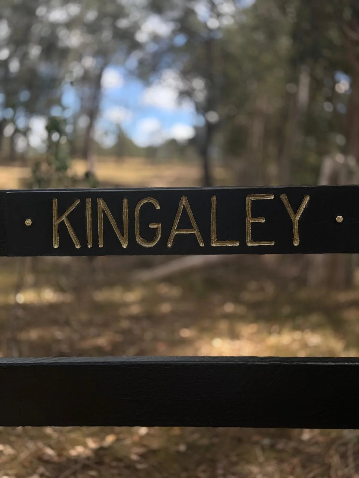 WhatsApp Image 2026-01-09 at 11.57.40.jpeg