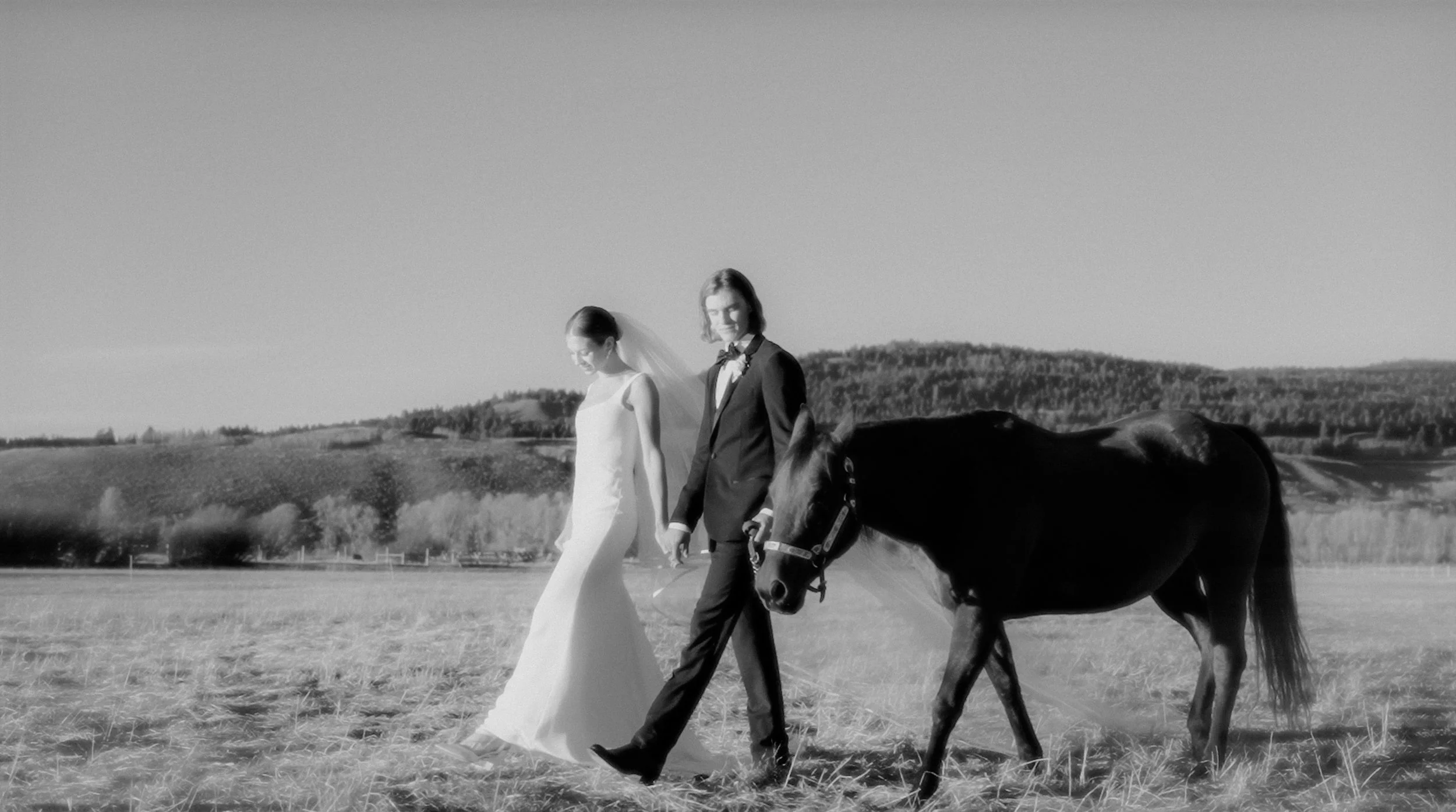 A black and white photograph of a bride and groom walking hand in hand through a field, accompanied by a horse.