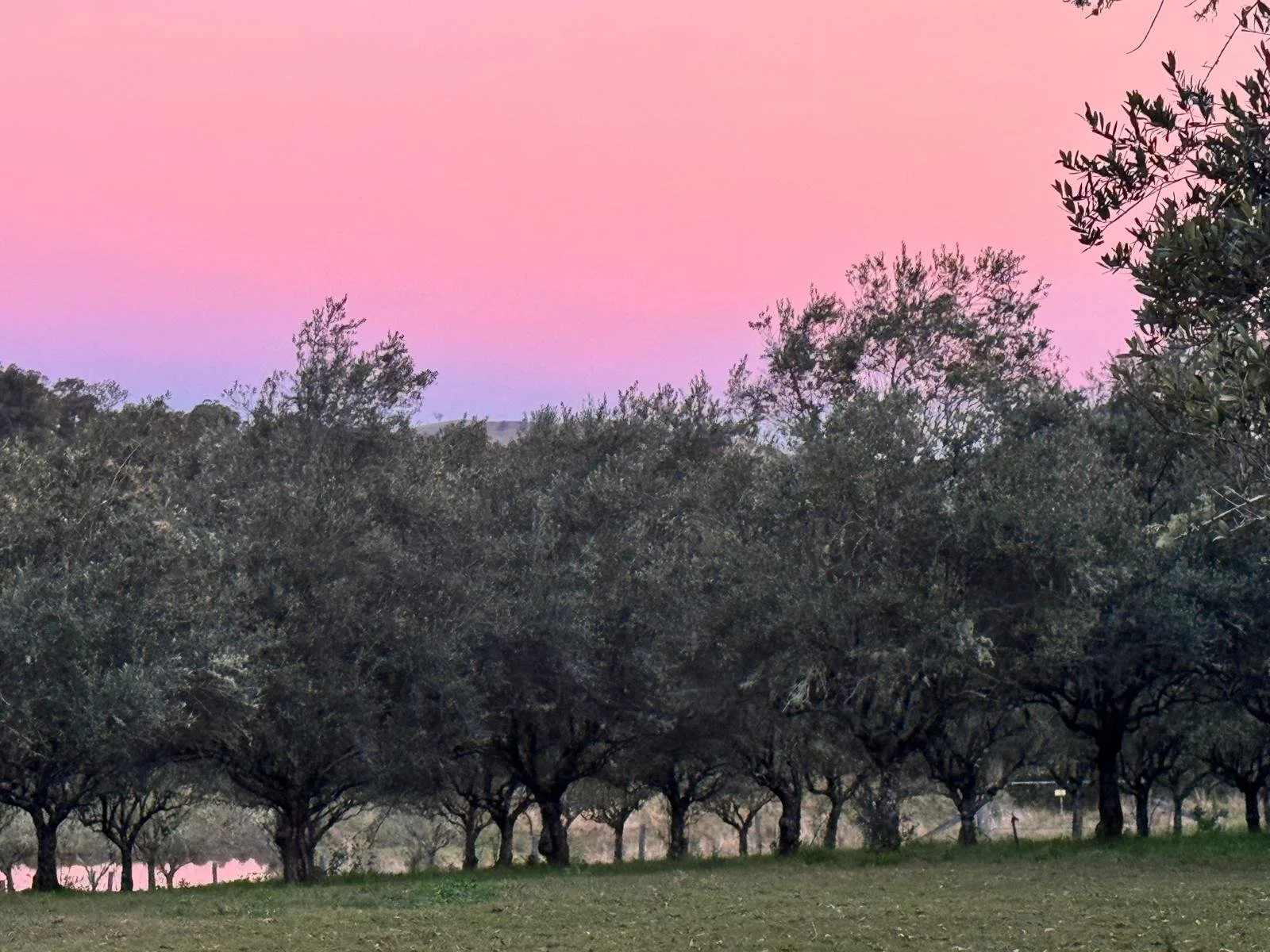 WhatsApp Image 2026-01-09 at 12.33.03.jpeg