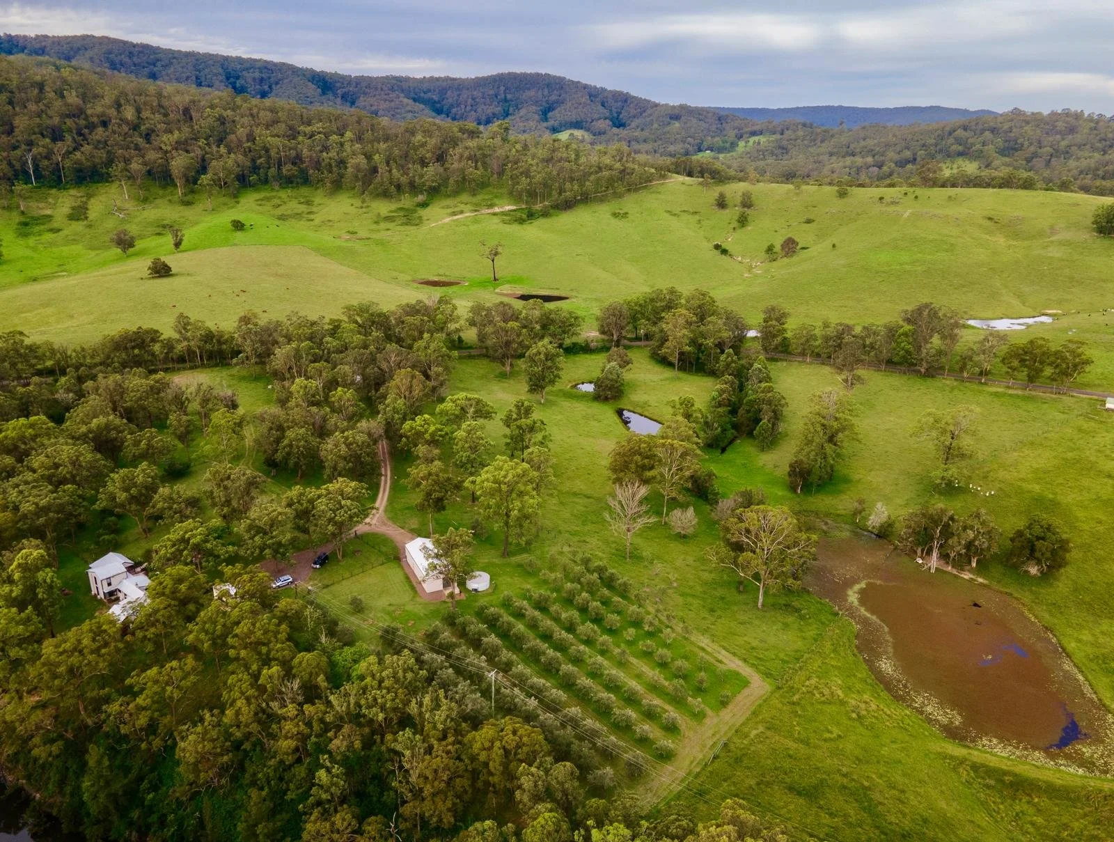 WhatsApp Image 2026-01-09 at 11.49.08.jpeg