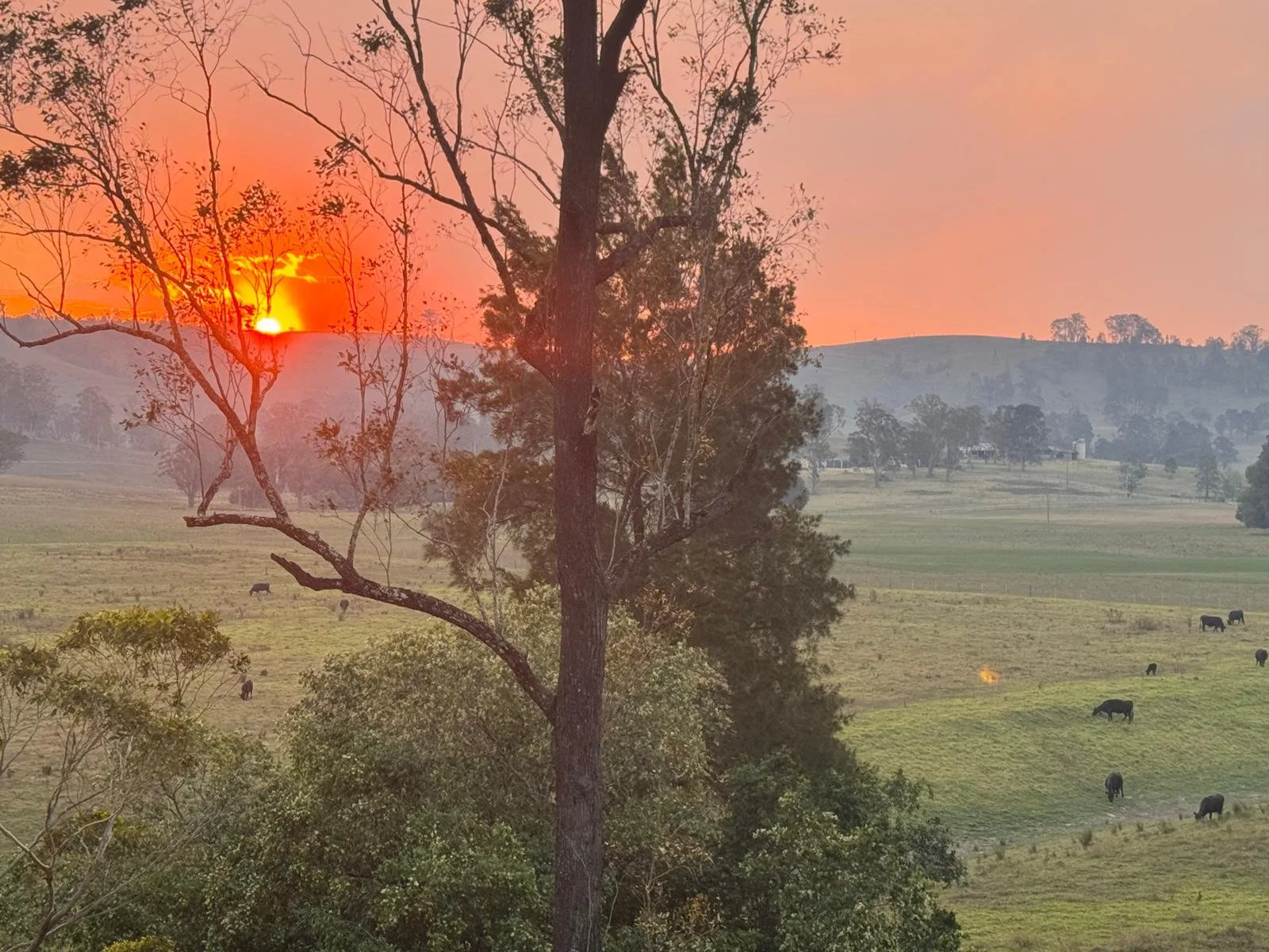 WhatsApp Image 2026-01-09 at 12.25.45.jpeg