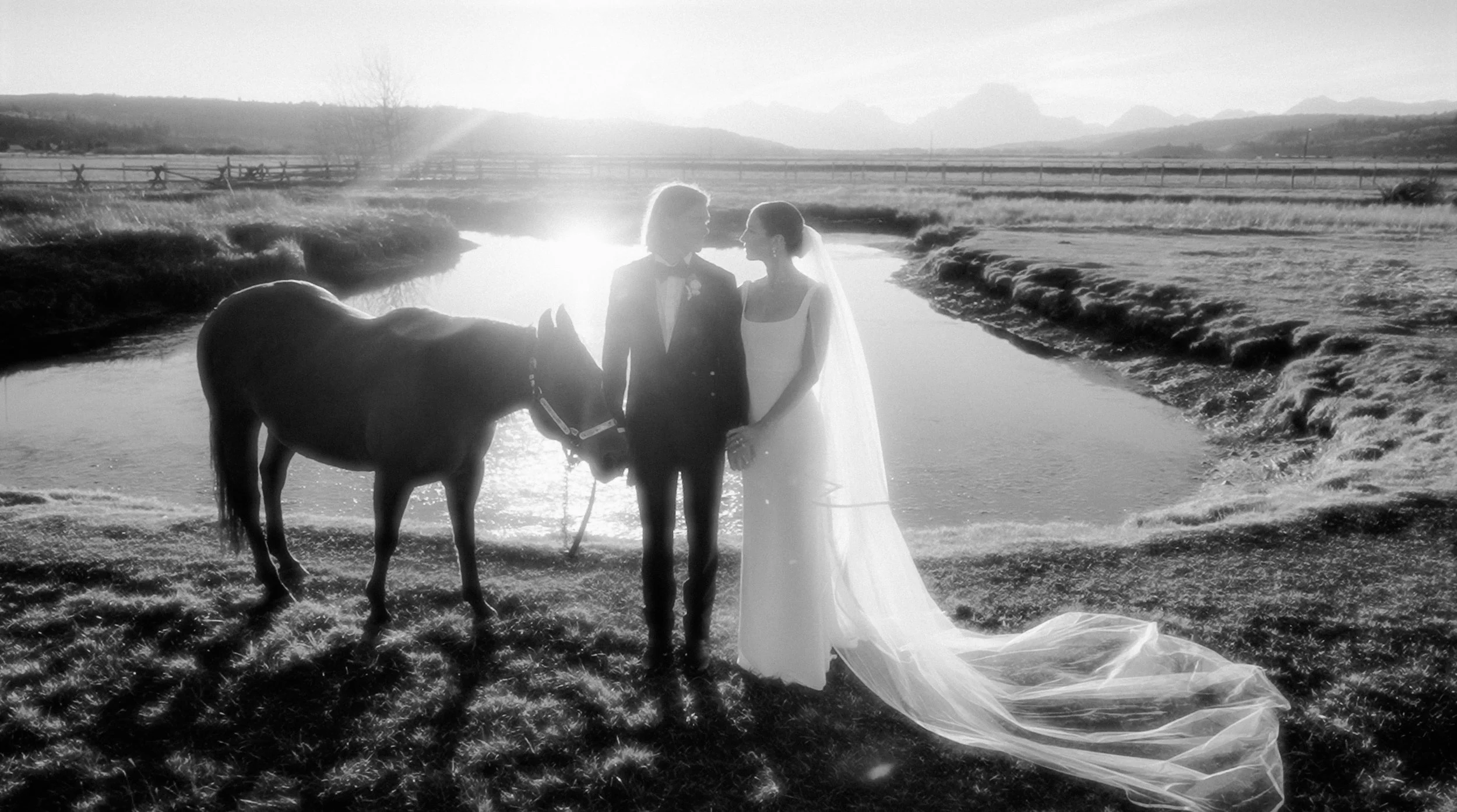 A black-and-white photo of a wedding couple standing in water with a horse. The couple is facing each other, holding hands, with the bride wearing a wedding dress and veil and the groom in a suit. The sun is shining behind them, creating a backlit scene with a scenic landscape in the background.