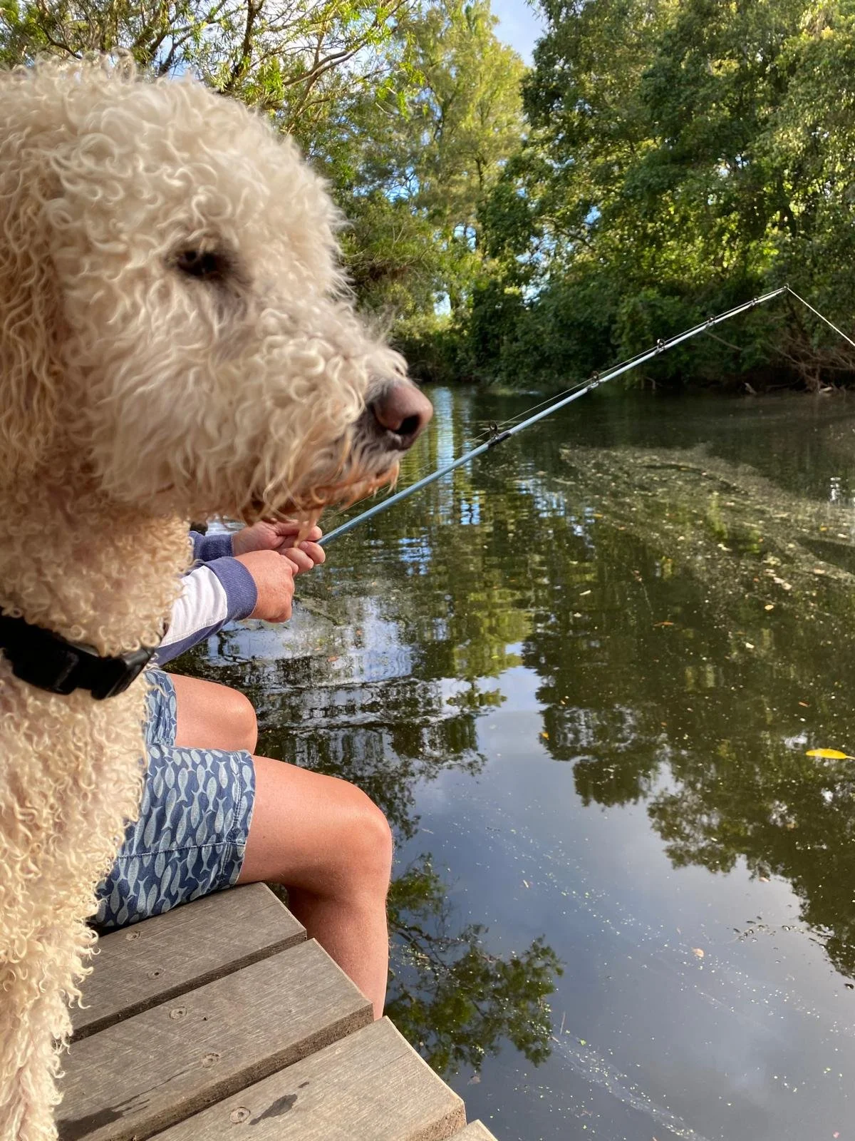 WhatsApp Image 2026-01-09 at 11.46.45.jpeg