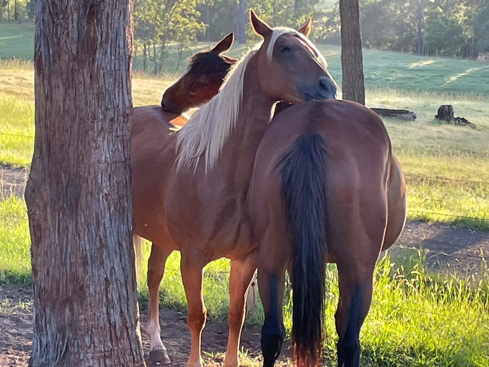 WhatsApp Image 2026-01-09 at 11.54.22.jpeg