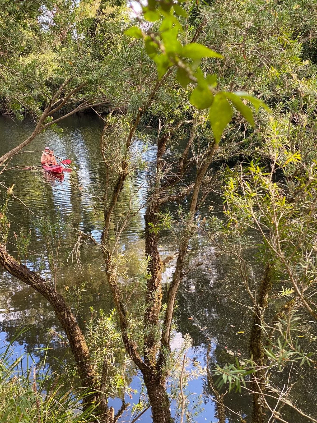 WhatsApp Image 2026-01-09 at 11.46.27.jpeg