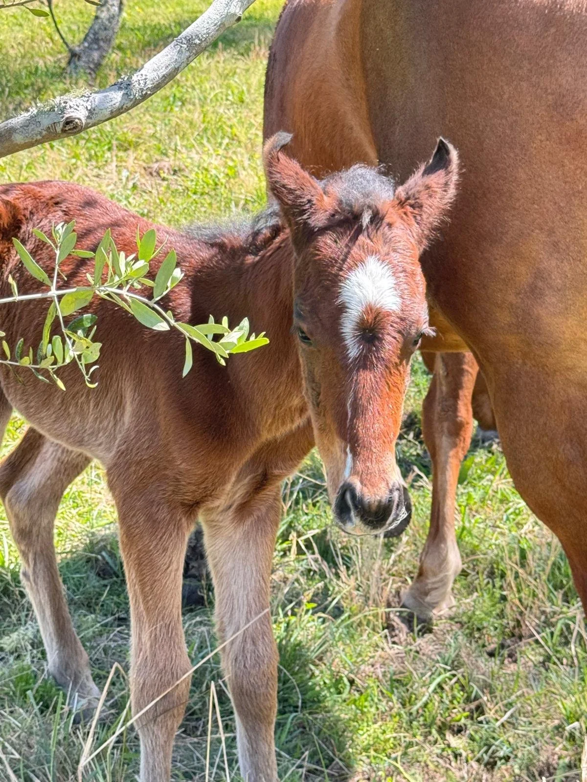 WhatsApp Image 2026-01-09 at 12.30.06.jpeg